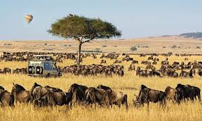 Travel Africa